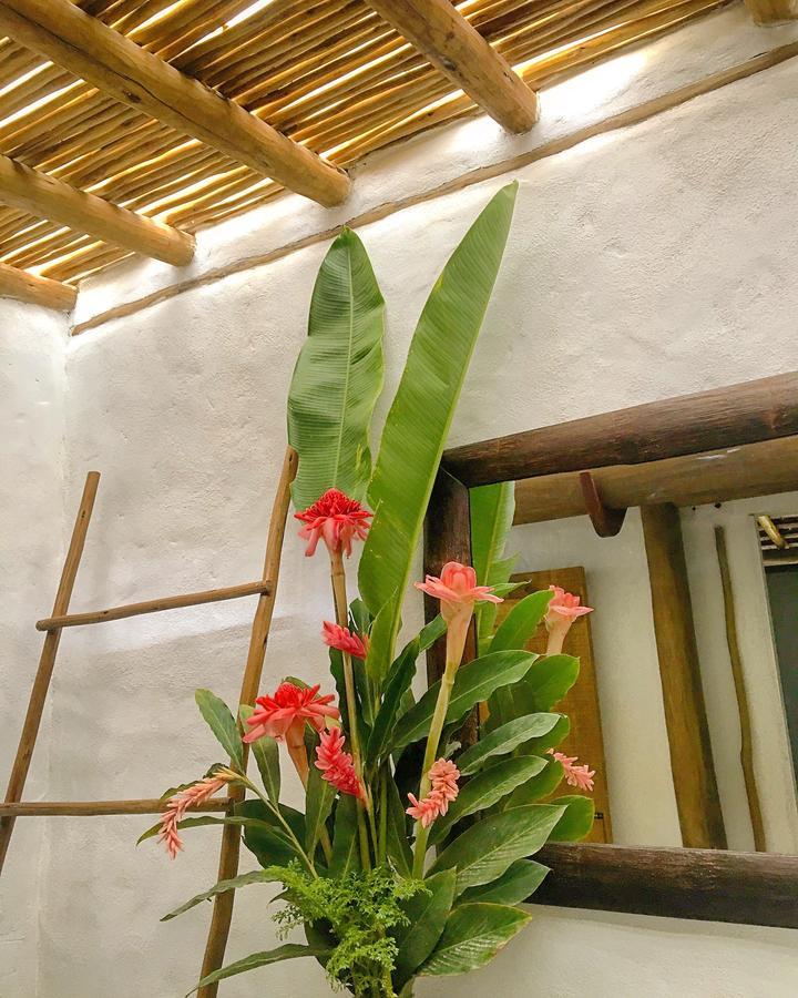 Vivertrancoso Hotel Kültér fotó